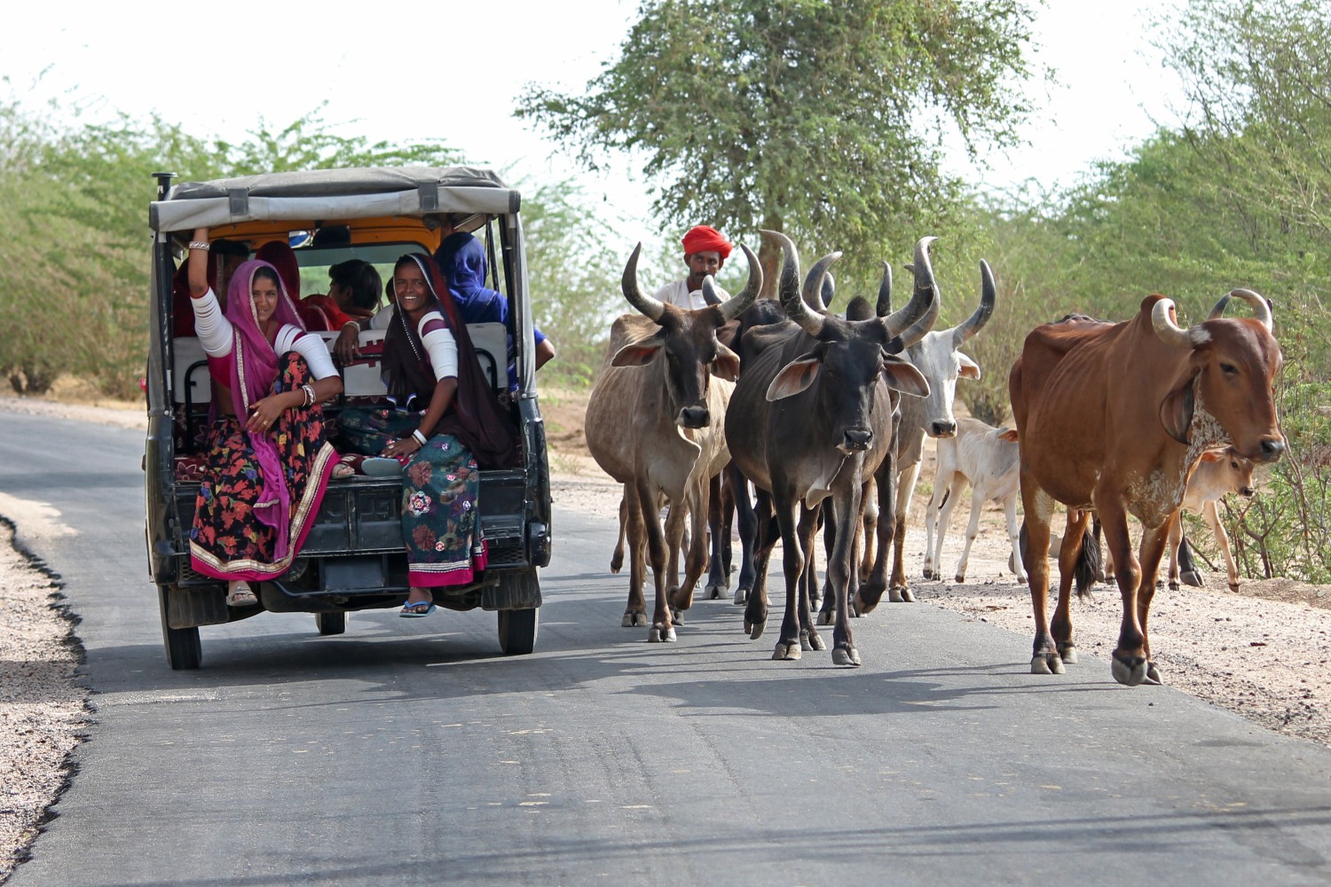 Girish Bindal