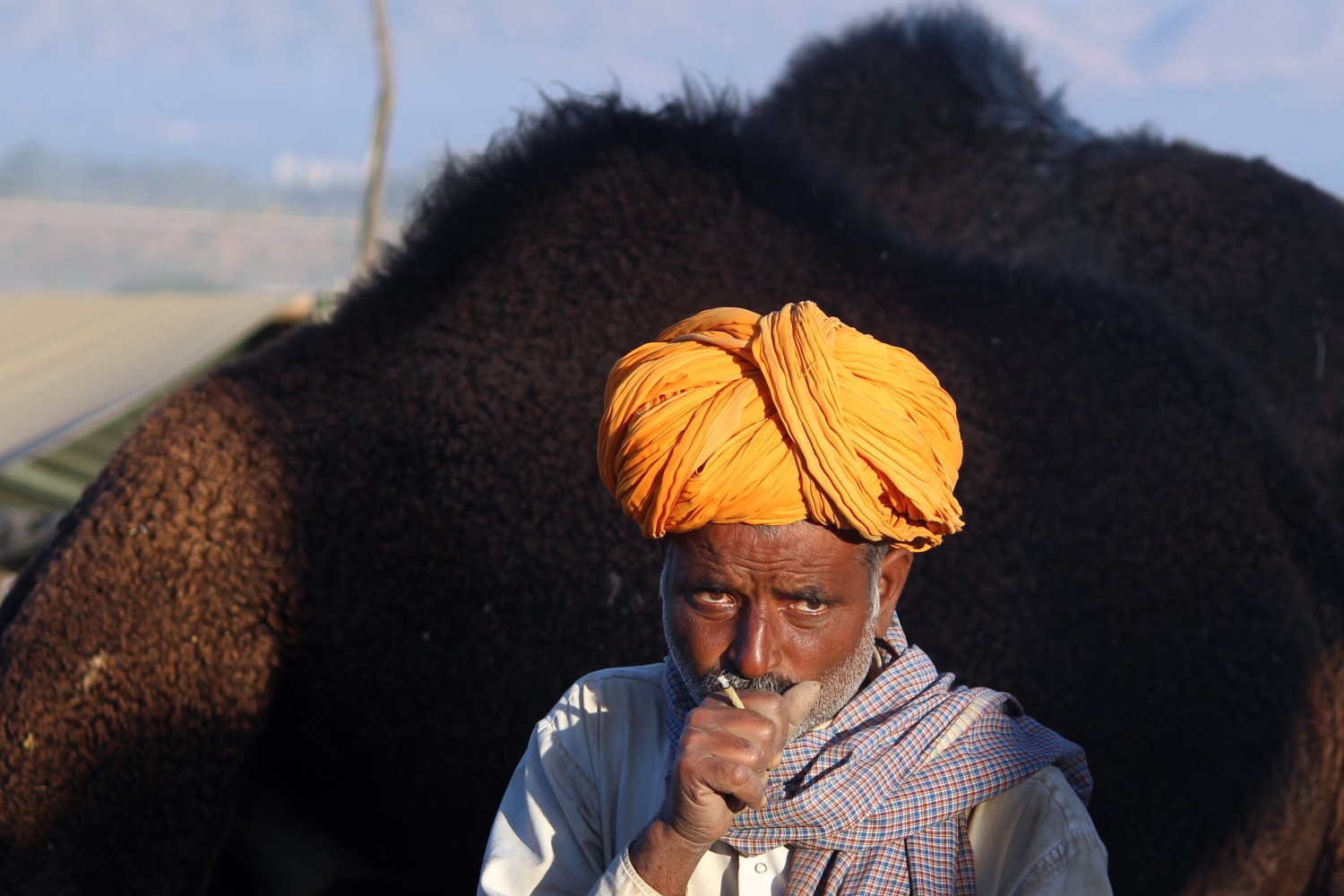 Girish Bindal