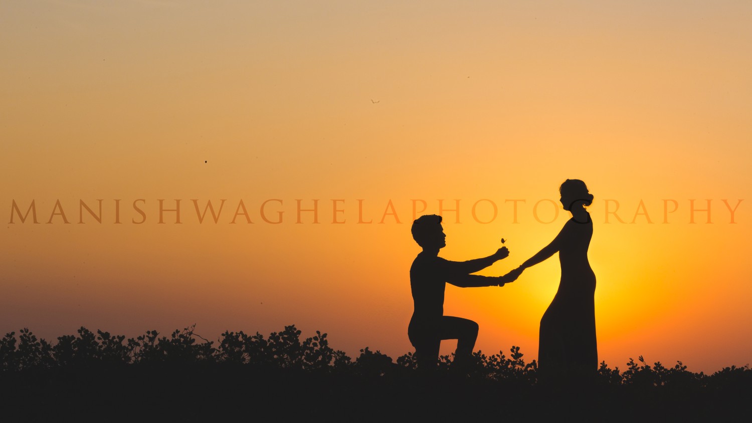 Manish Waghela