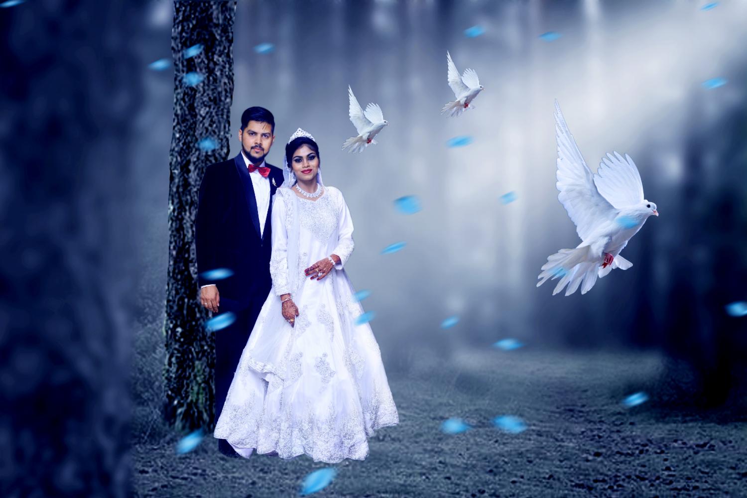 Asif Shaikh