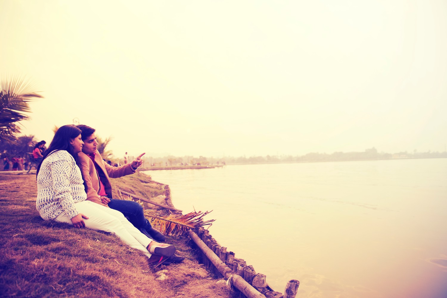 Vipin  Mehra 