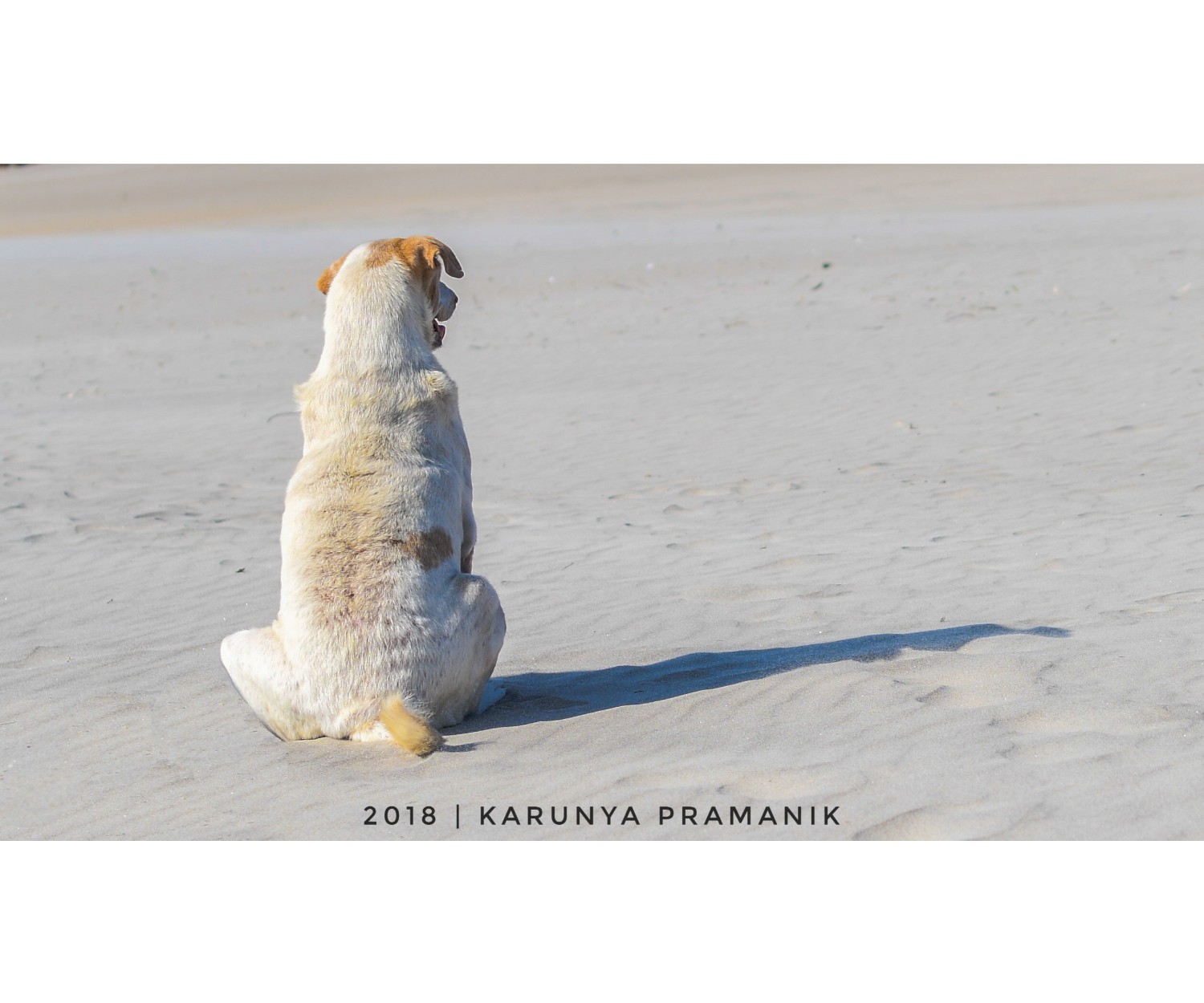 Karunya Pramanik