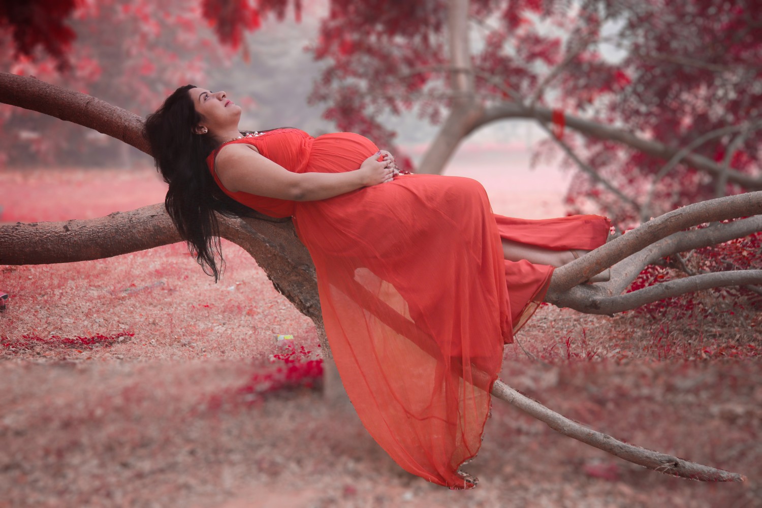 Avishek Sarkar
