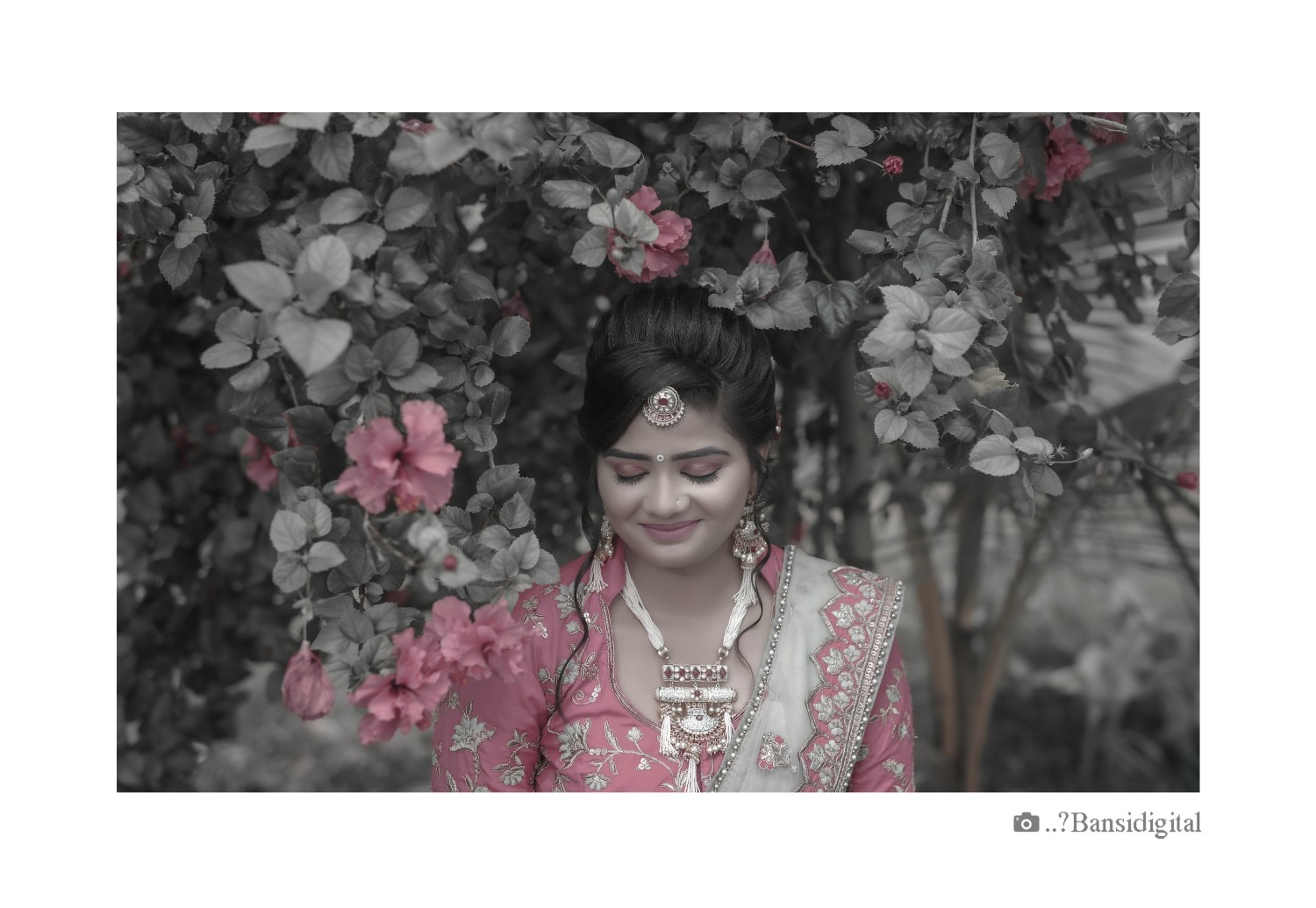 Bansi  Digital 