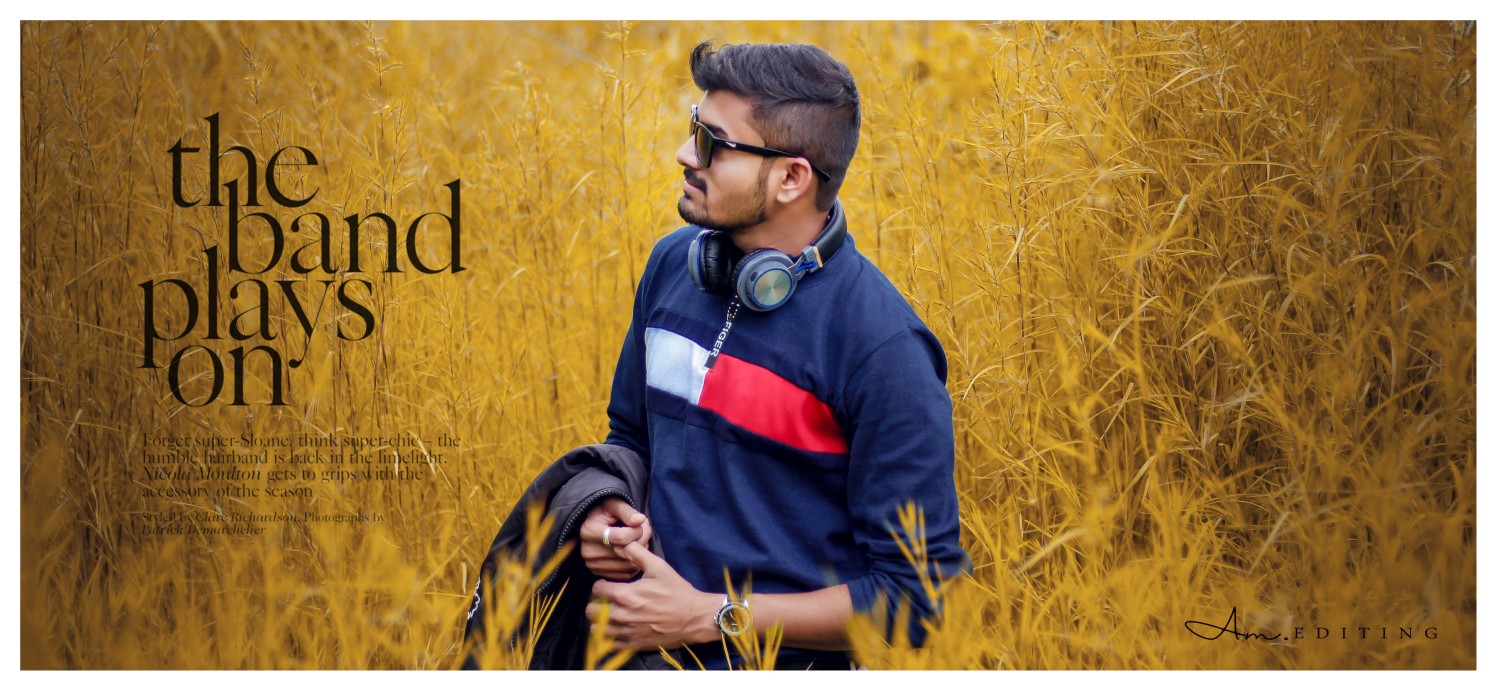 Anand Meshram
