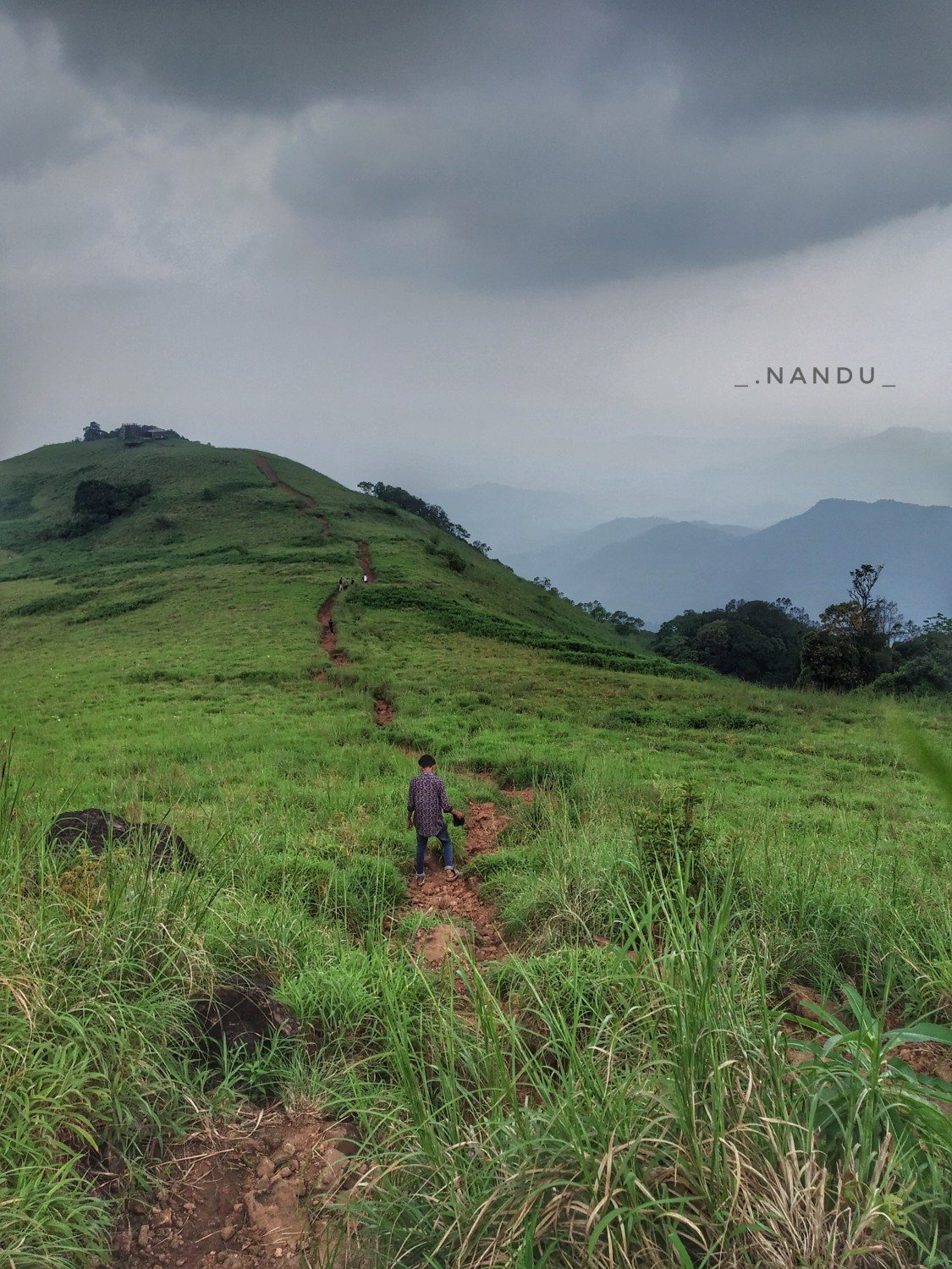 Nandu Murali