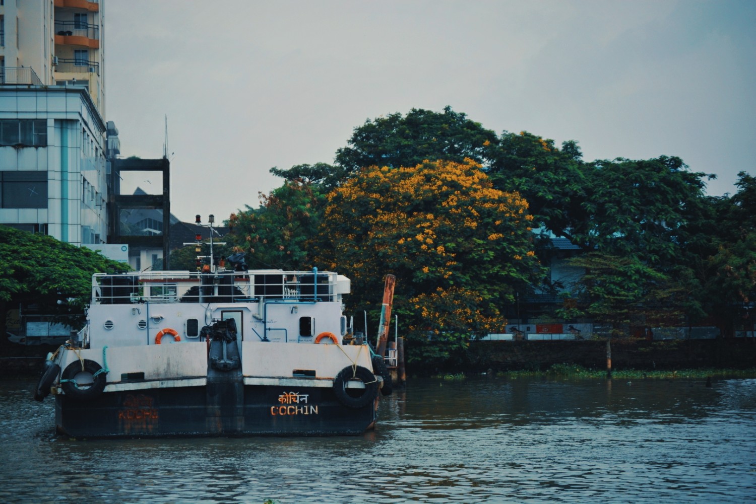 Nandu Murali