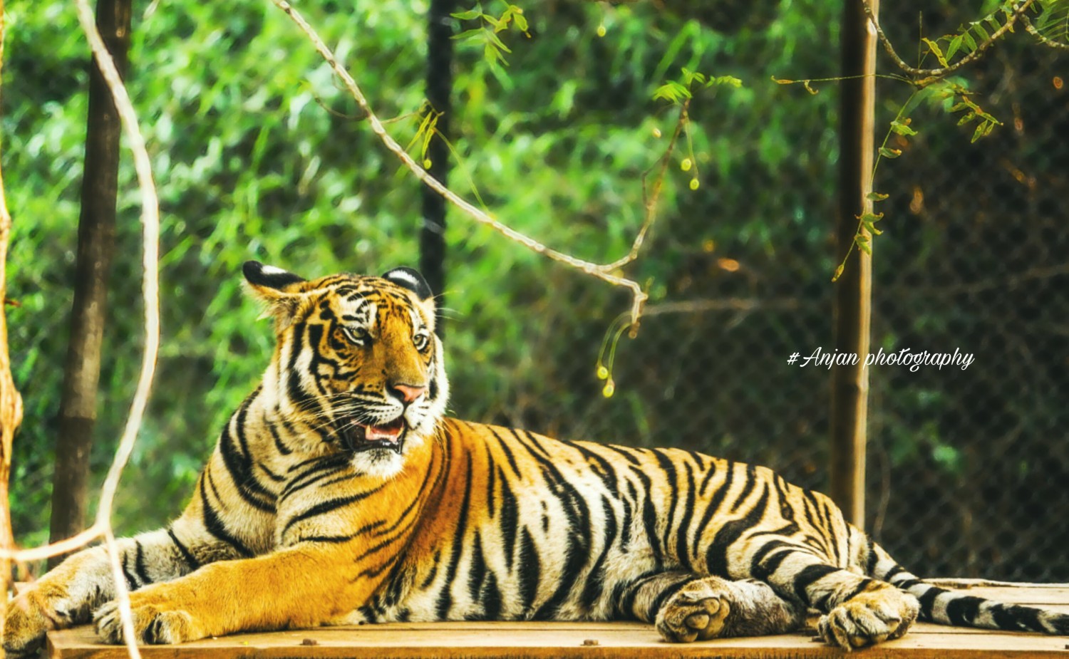 Anjan Paramanik