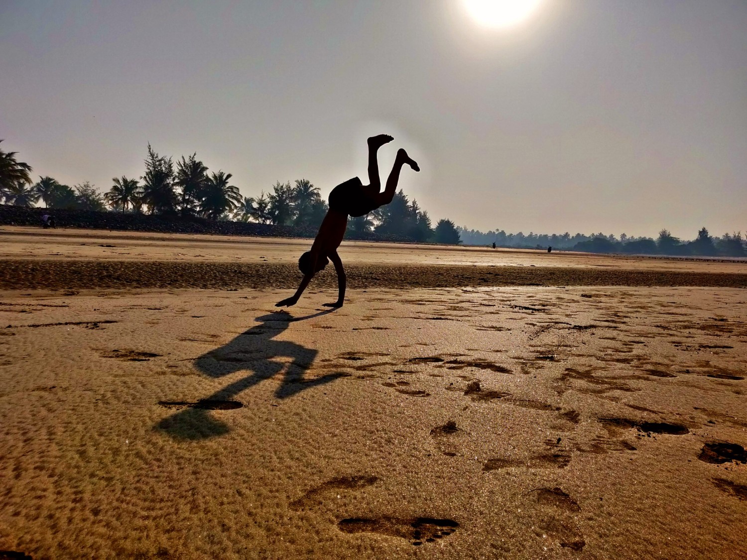 Manasi Jagtap