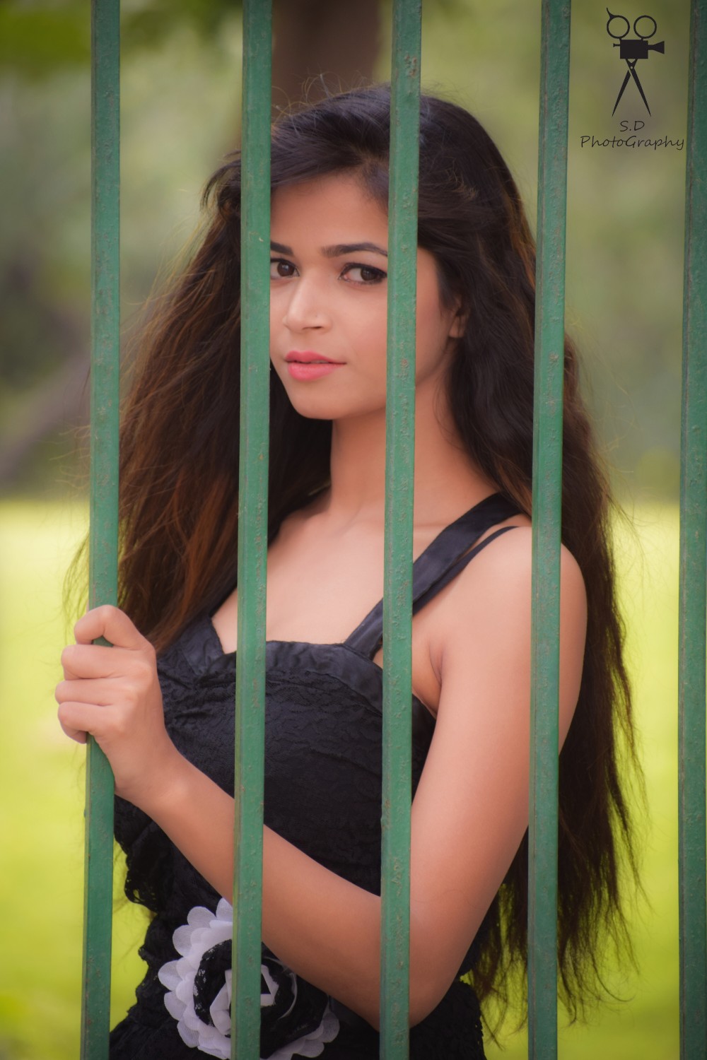 SD Photography