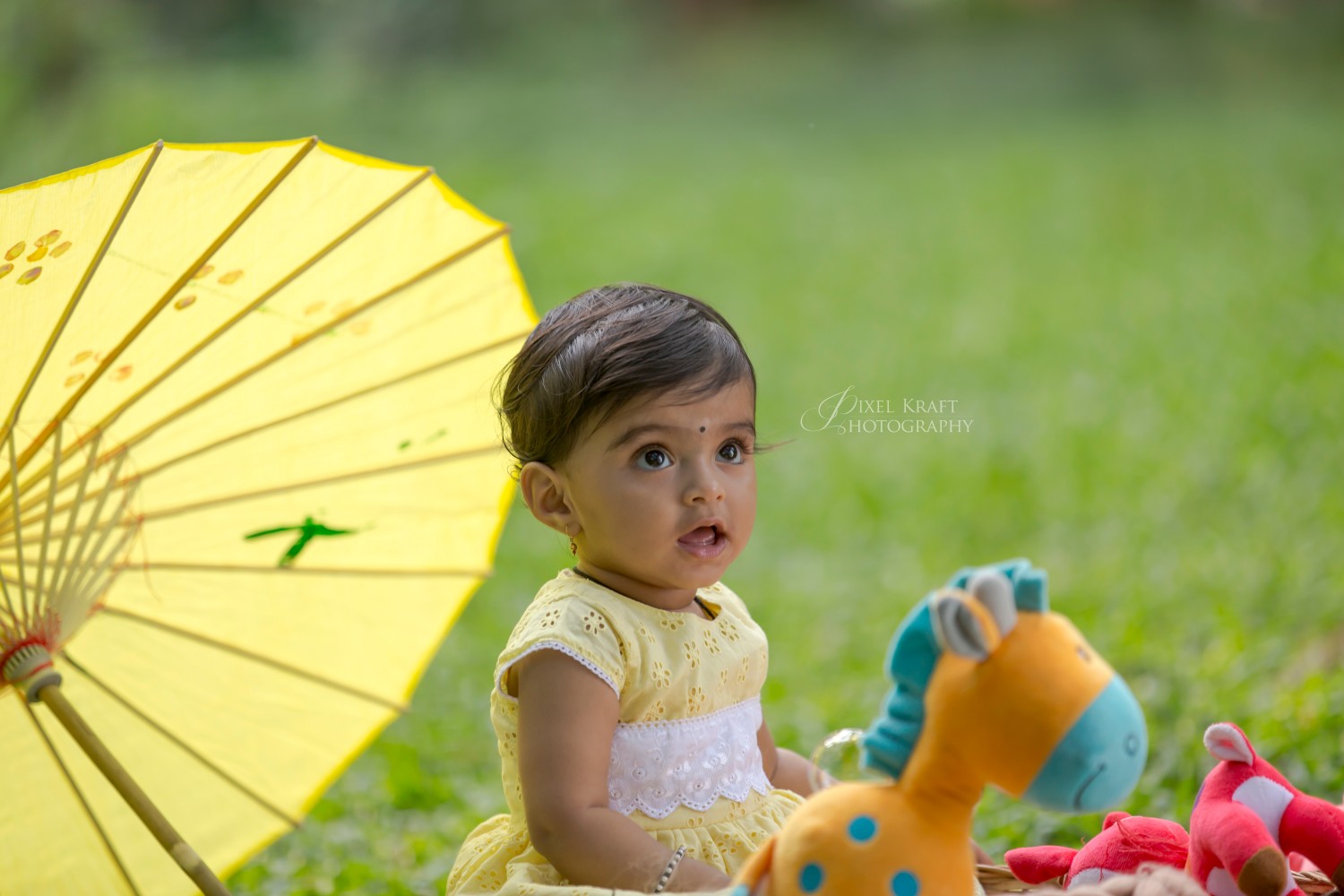 PixelKraft photography