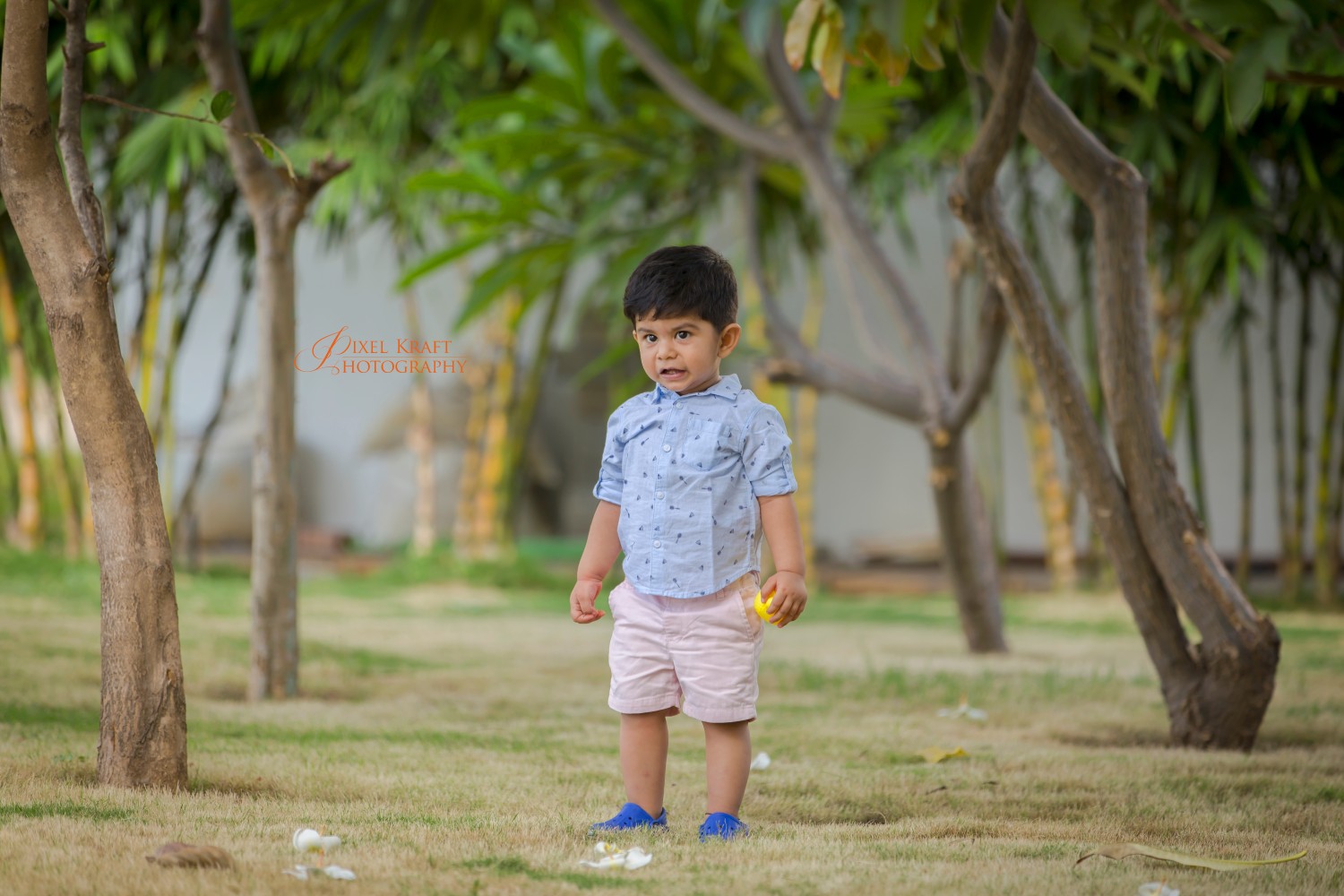 PixelKraft photography