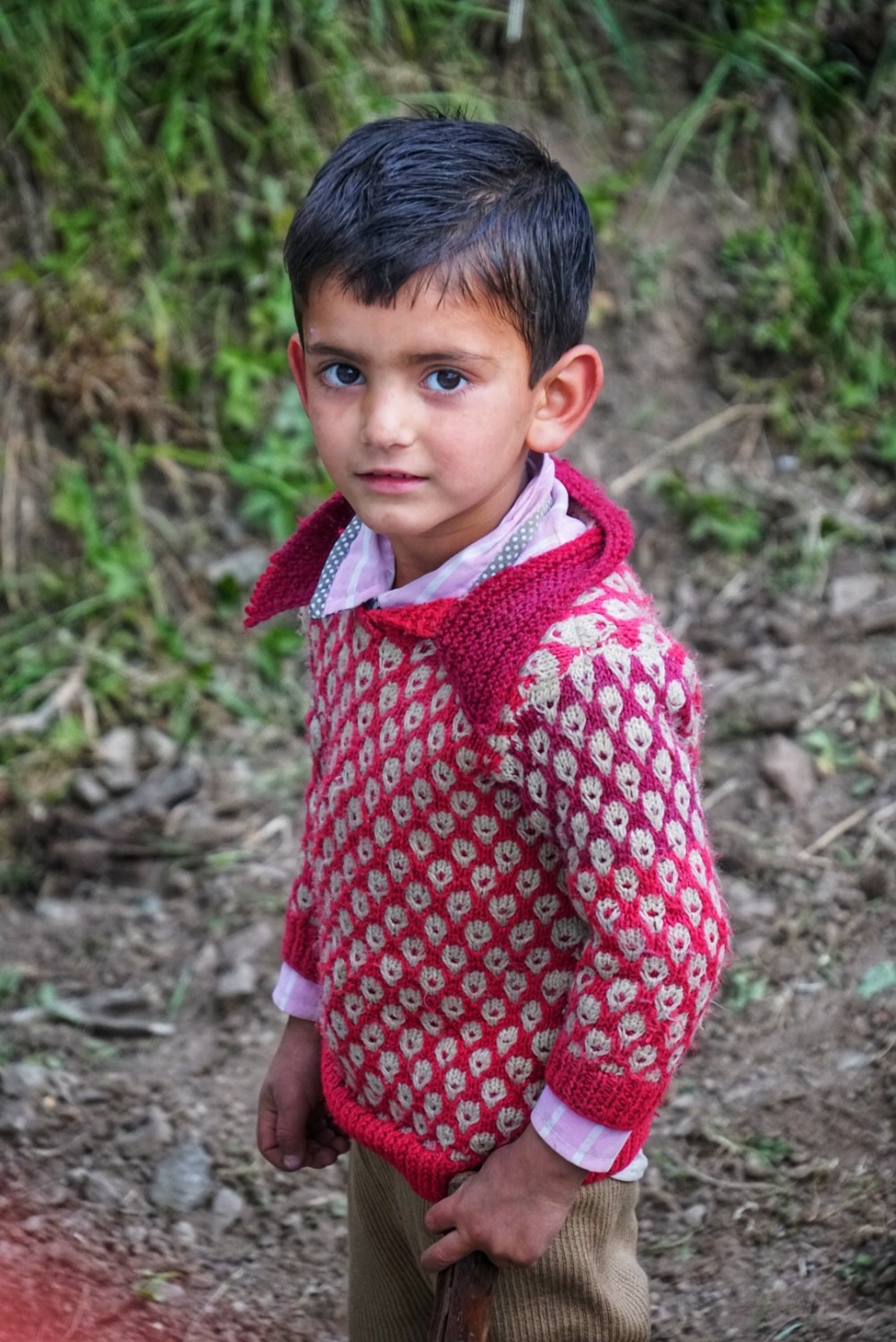 Sankhesh  Gala
