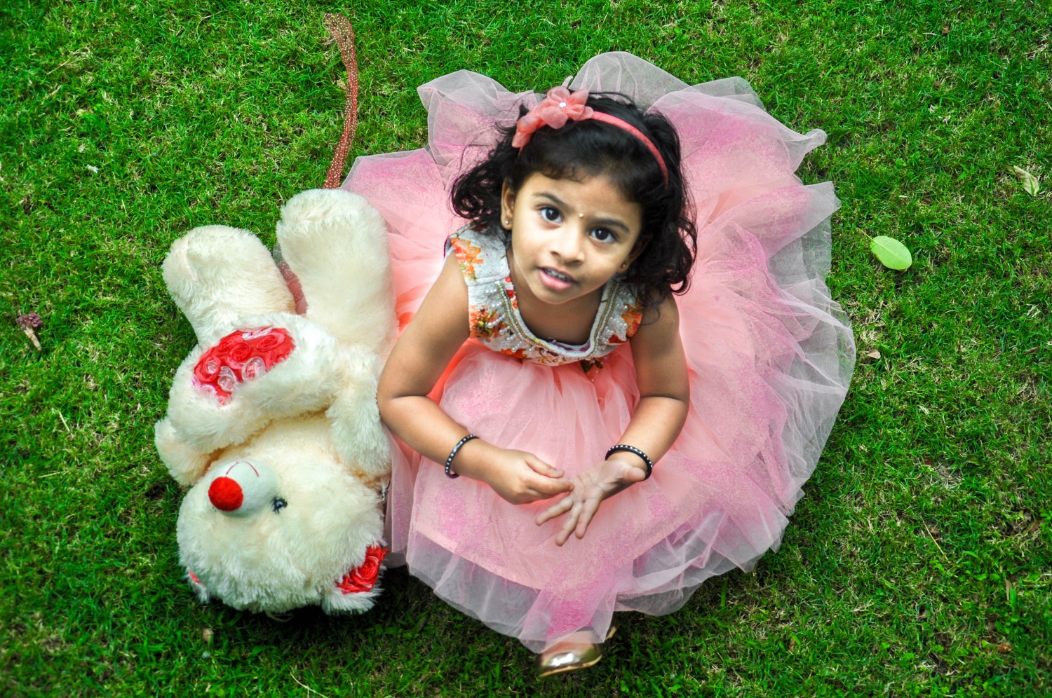 Anjan Aarya