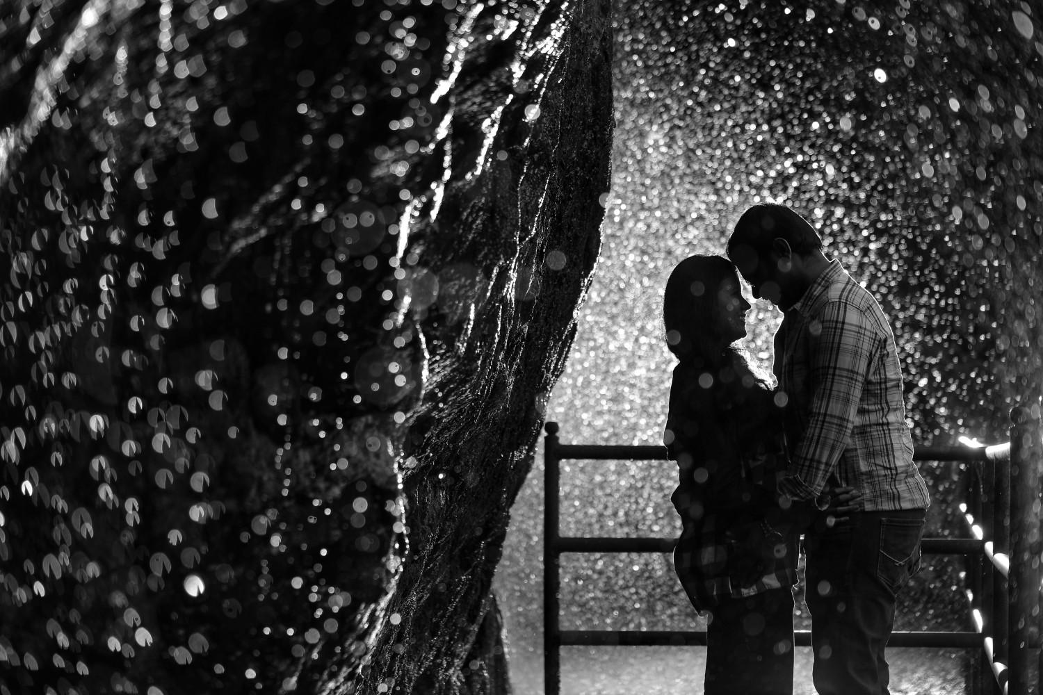 Light Room.In