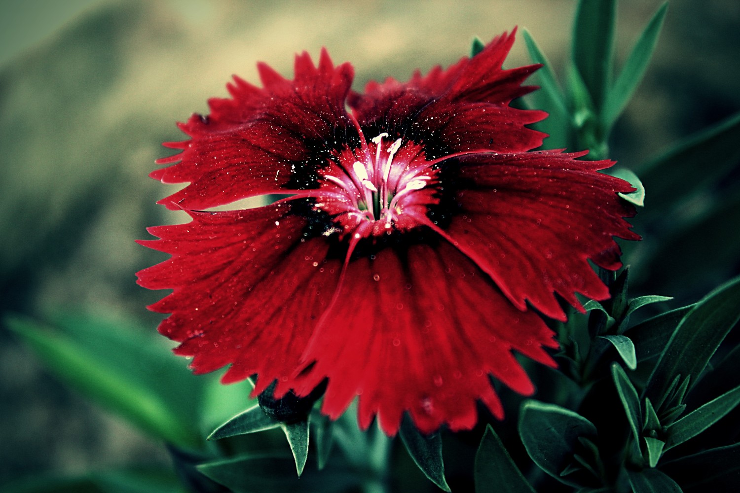 Sumit Mathur