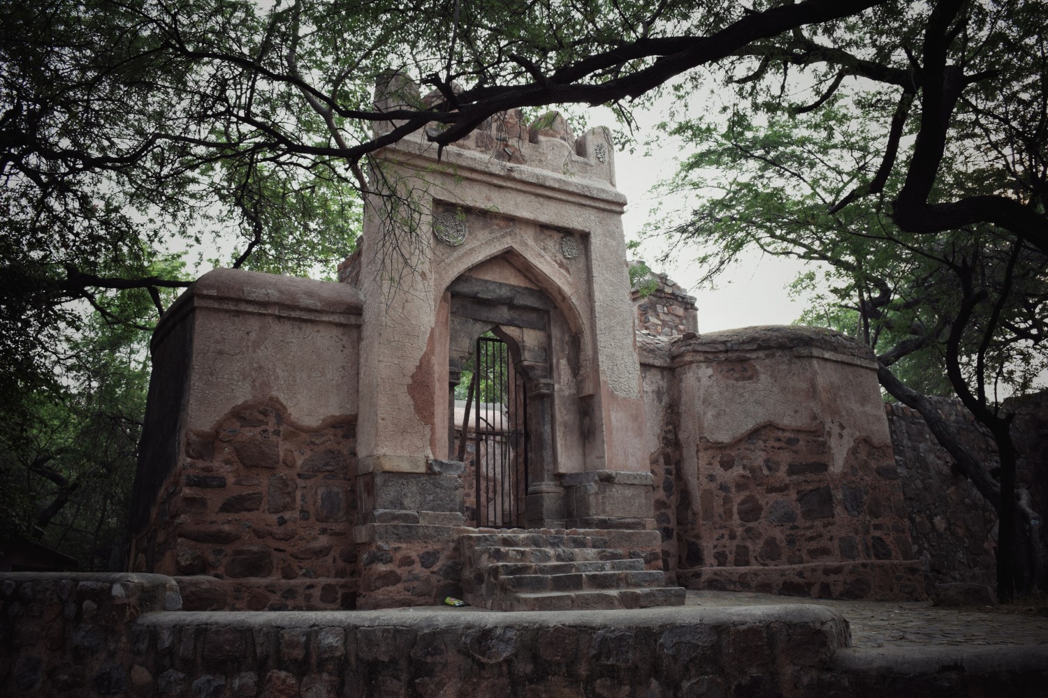 Avidha Raha