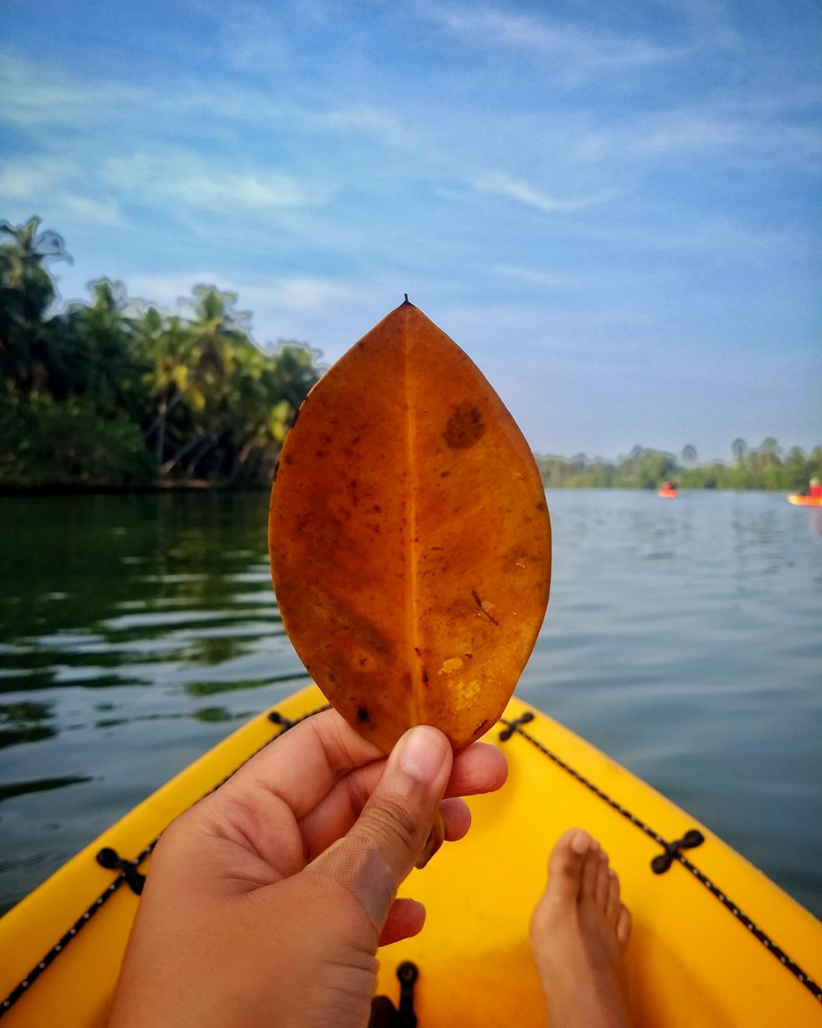 Dipali Modhvadia