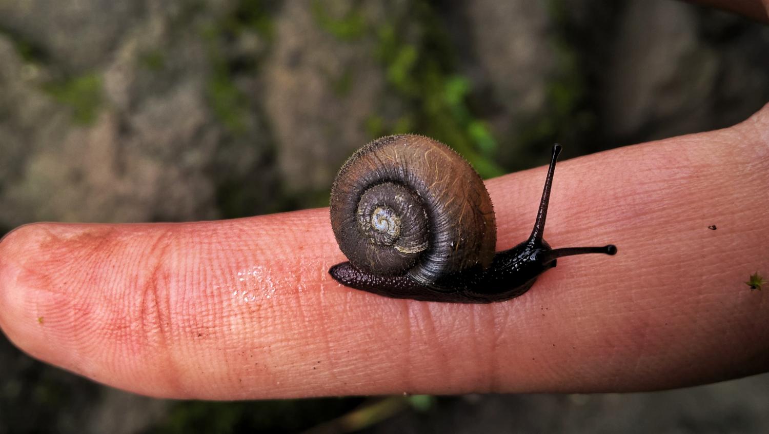 Dipali Modhvadia