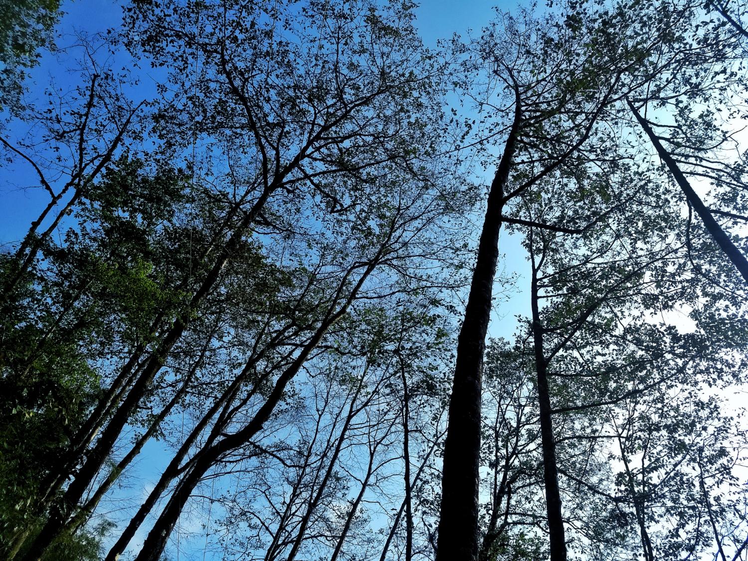 Dipali Modhvadia