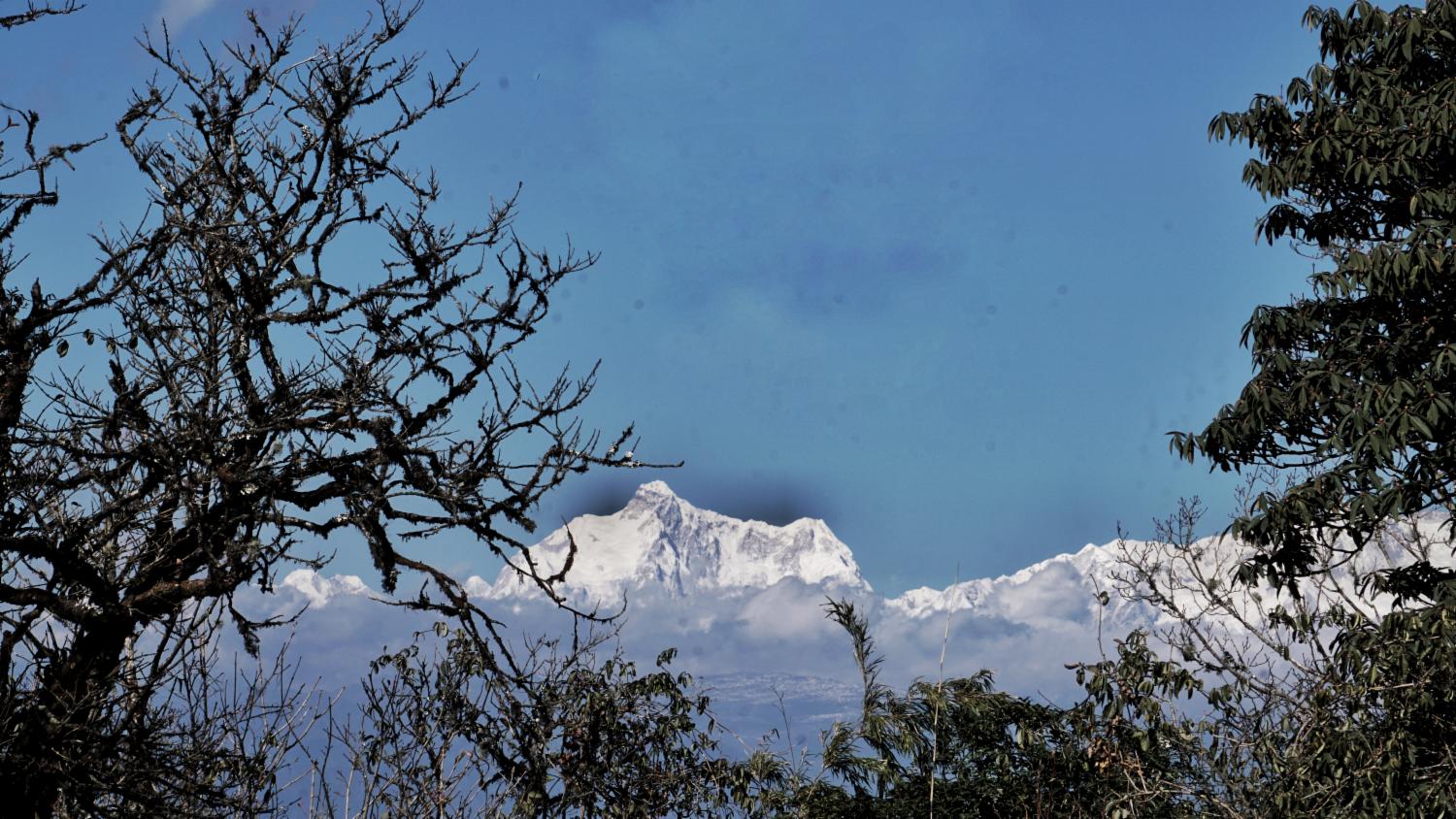 Dipali Modhvadia