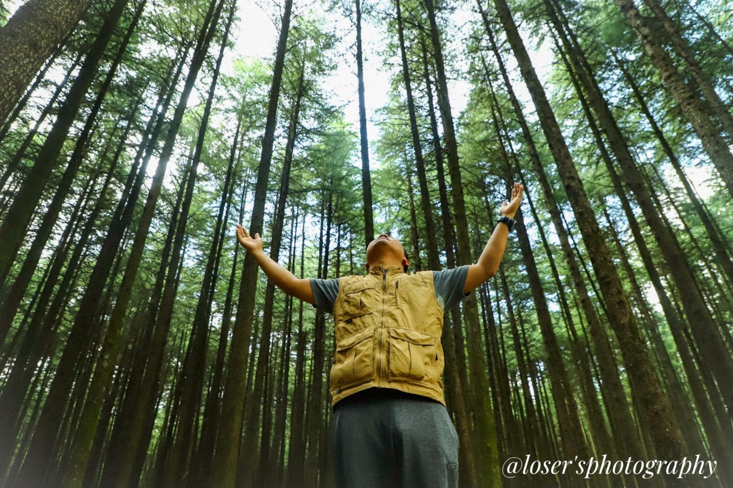 Loser'sphotography