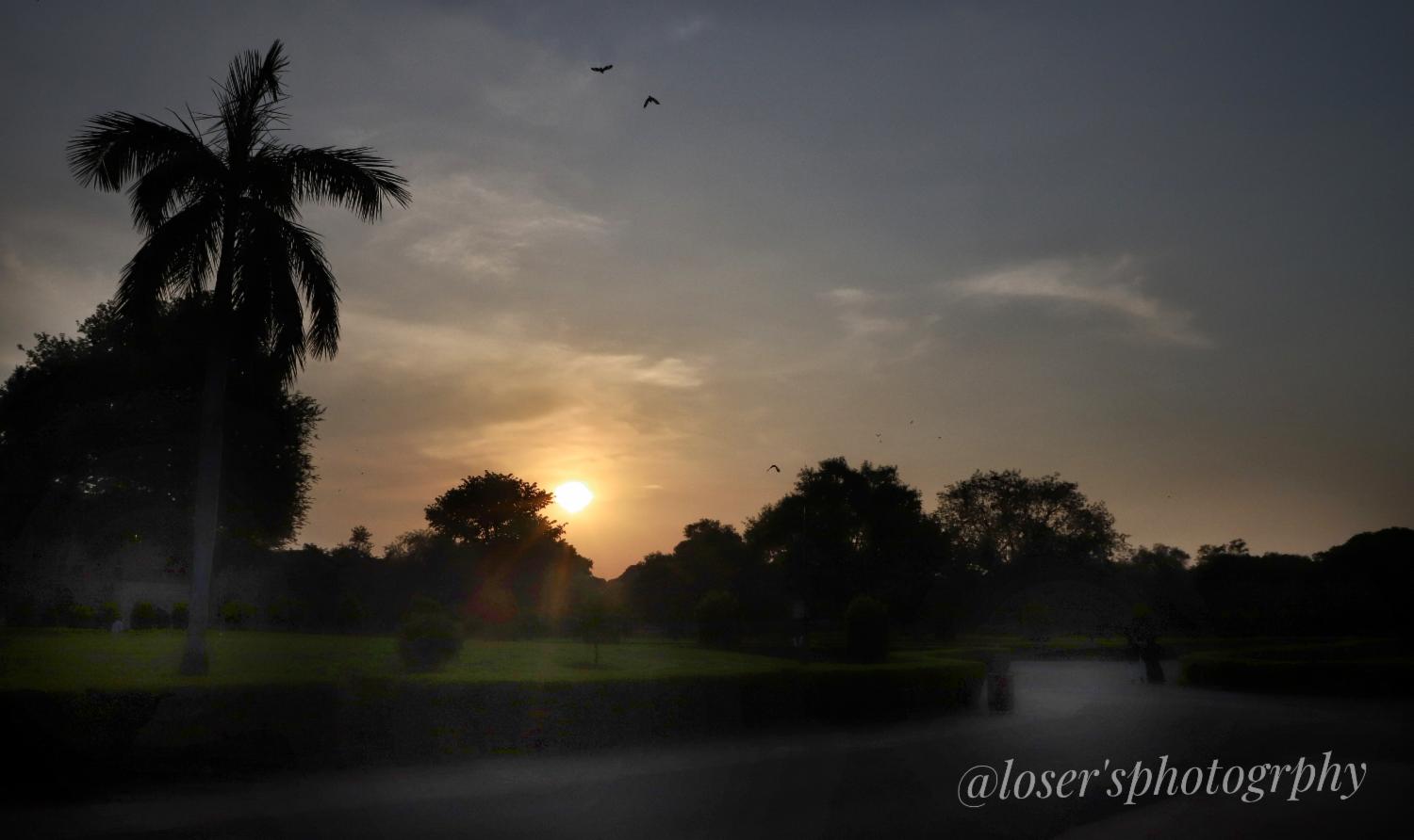 Loser'sphotography