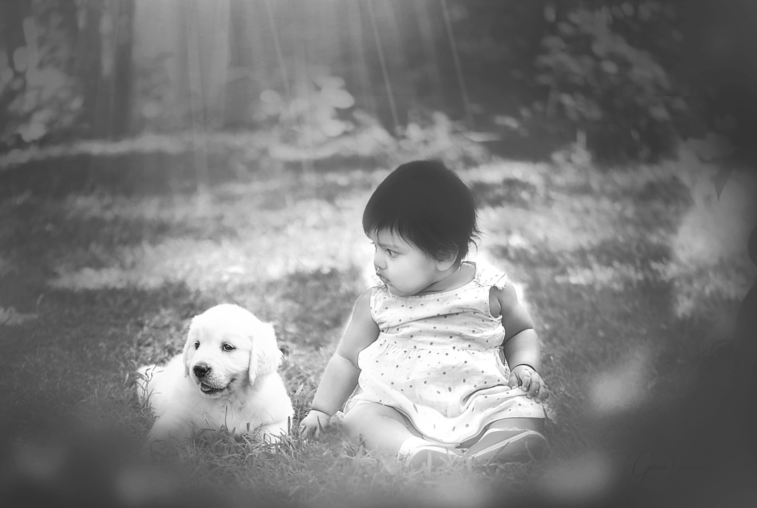 GiVeArt Photography