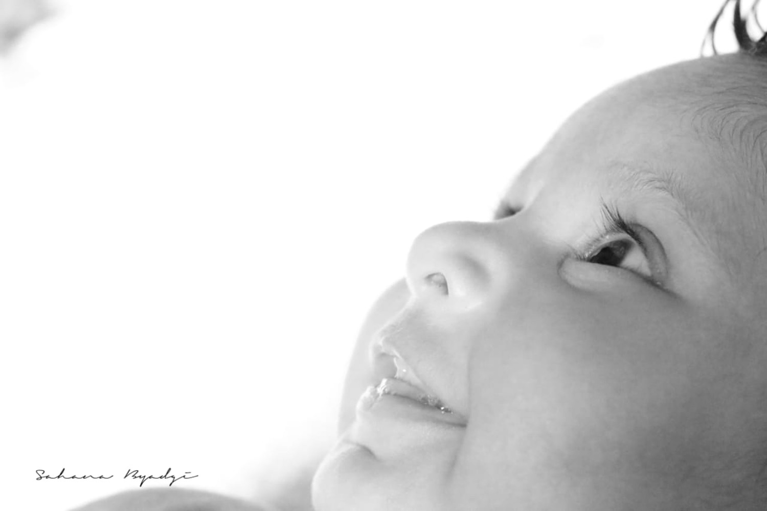 Sahana Byadgi Photography