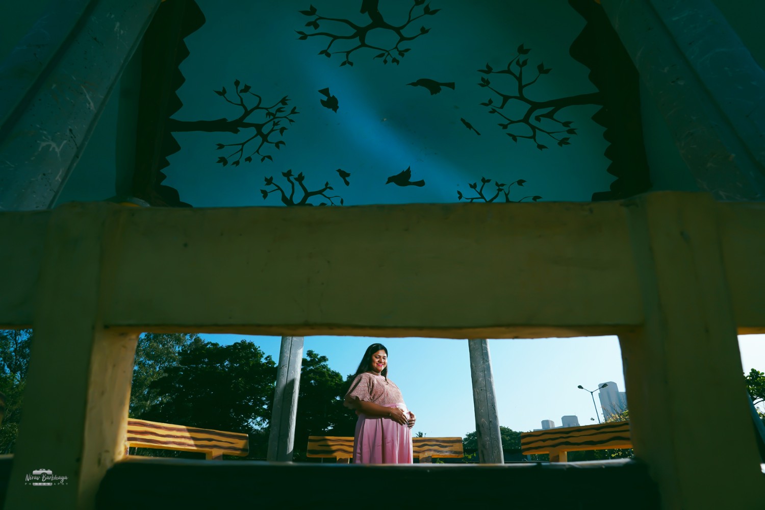 Nirav barbhaya
