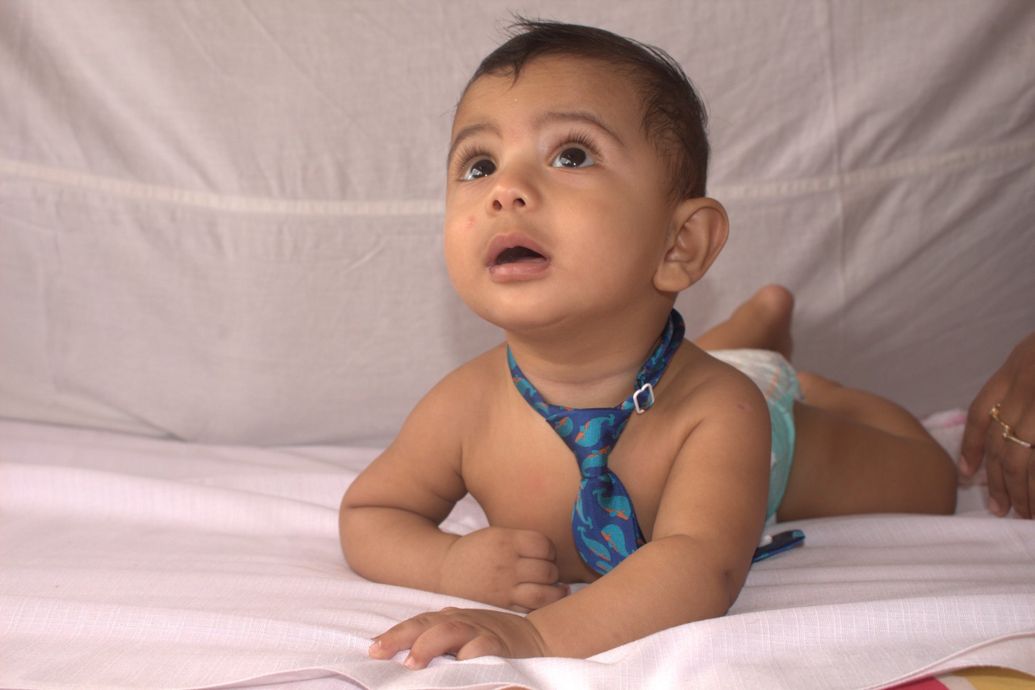 Hasnain dalal