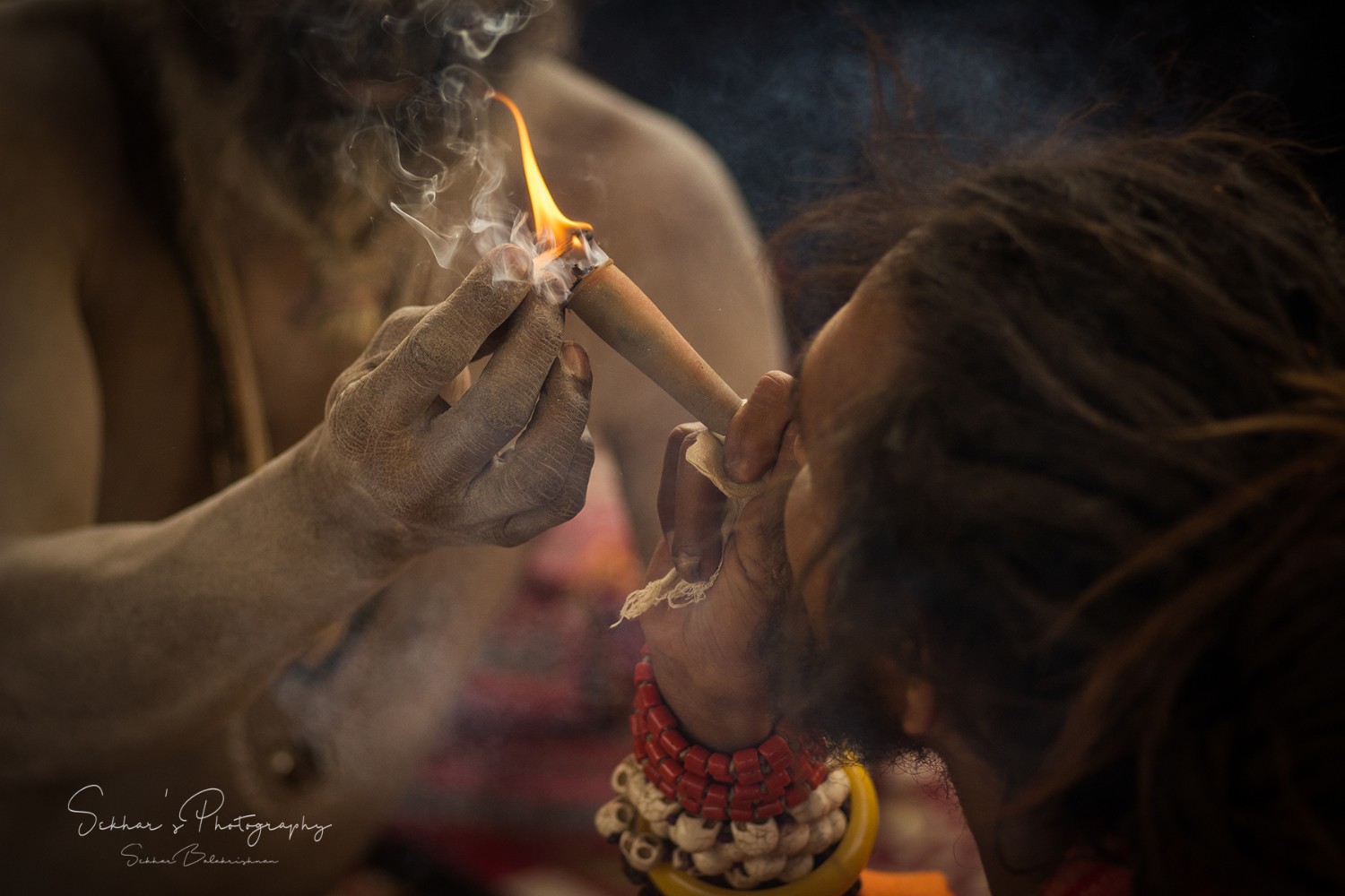 SEKHAR P K