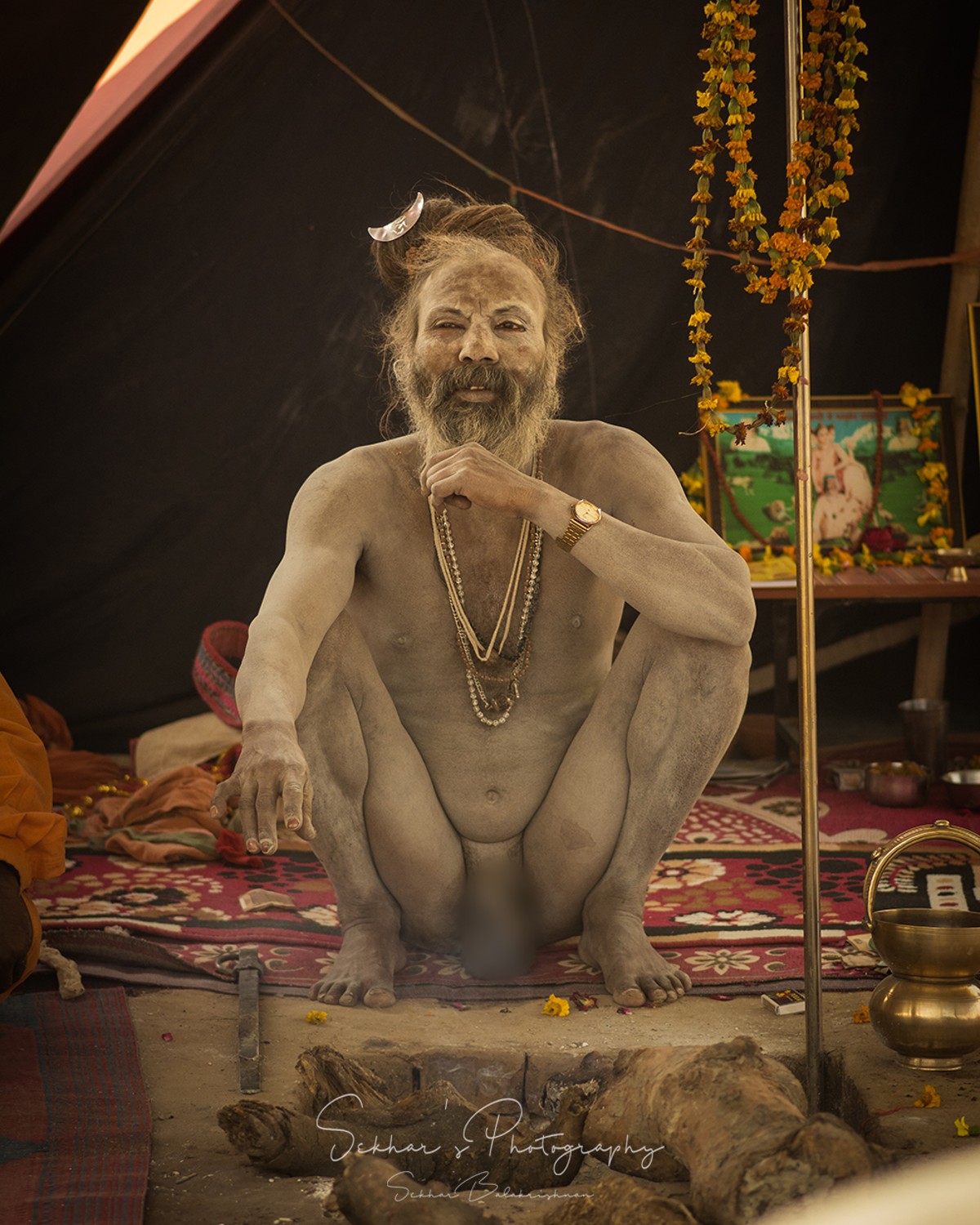 SEKHAR P K