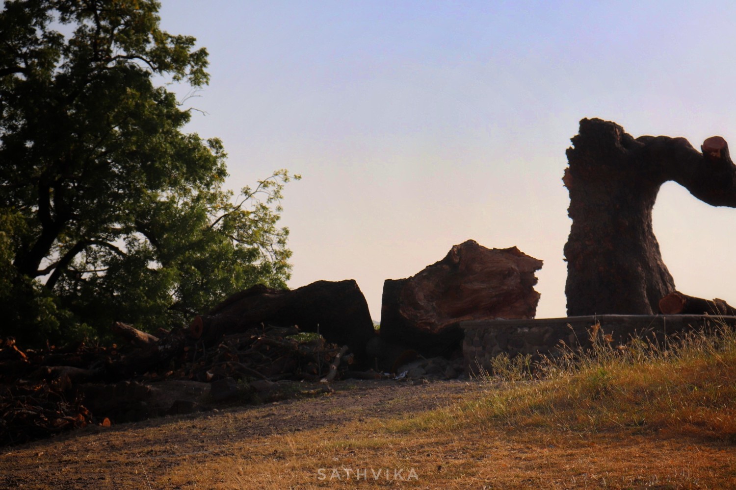 Sathvika Motukuri