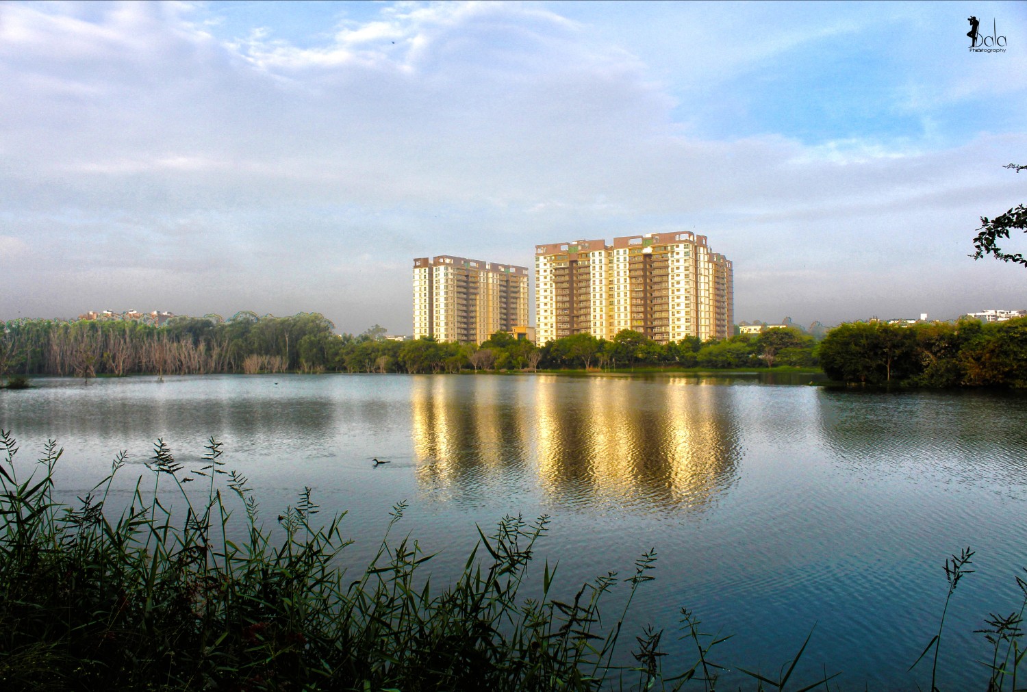 Bala Photography