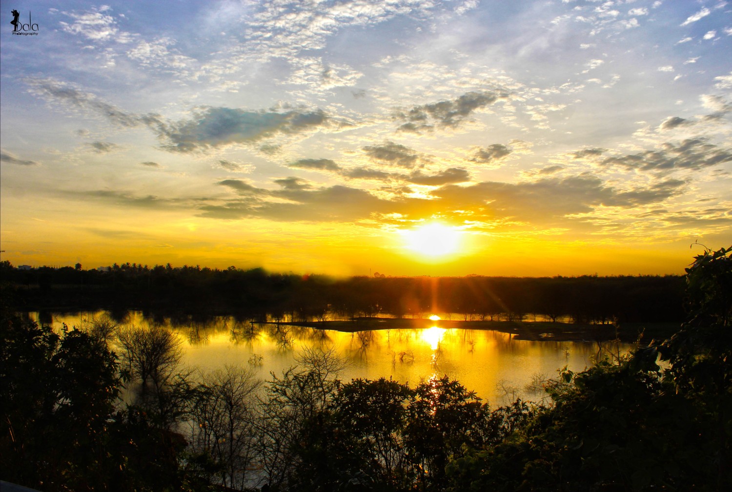 Bala Photography