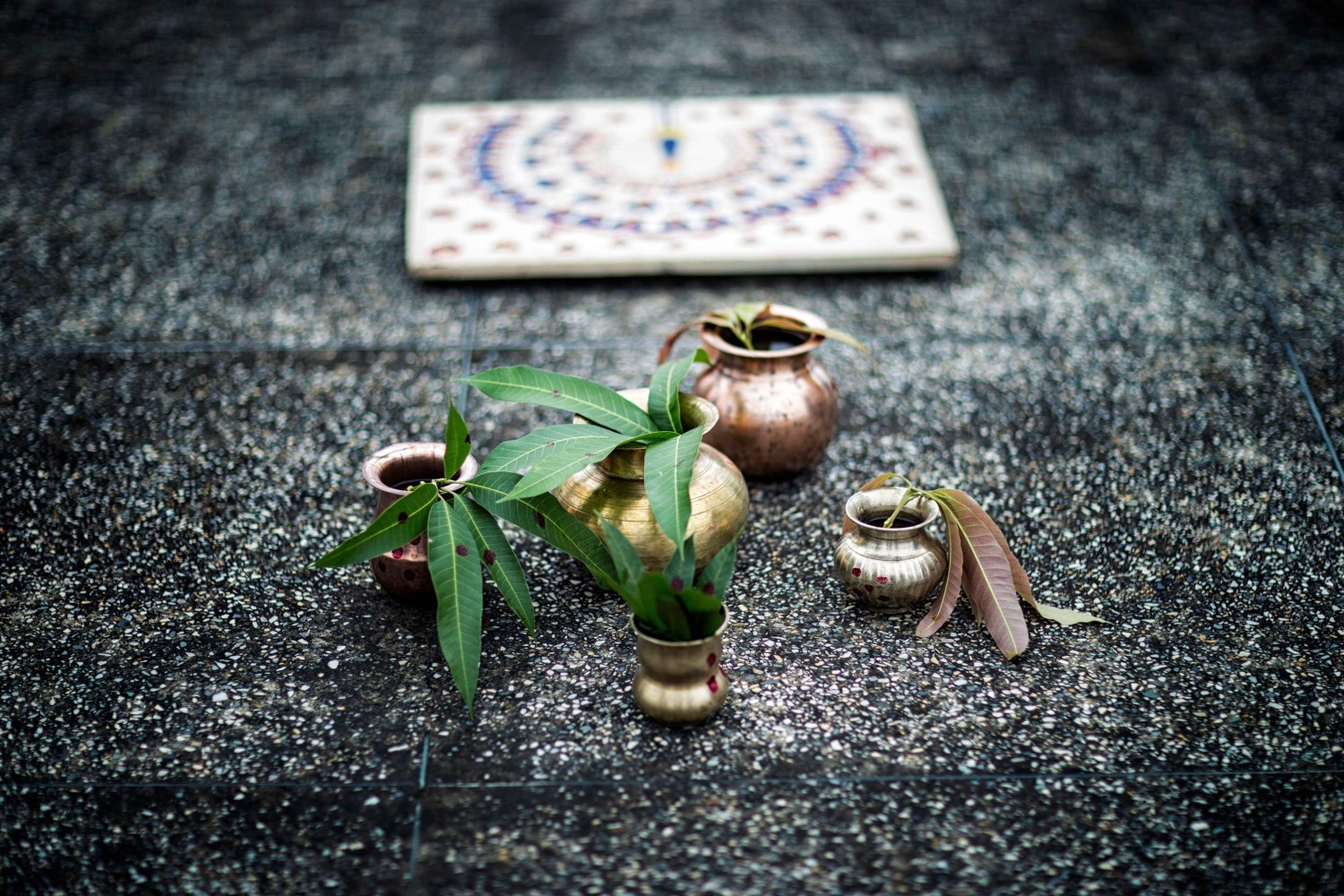 Sayantan Chakraborty