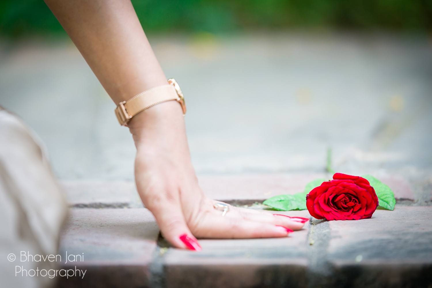Bhaven Jani Photography
