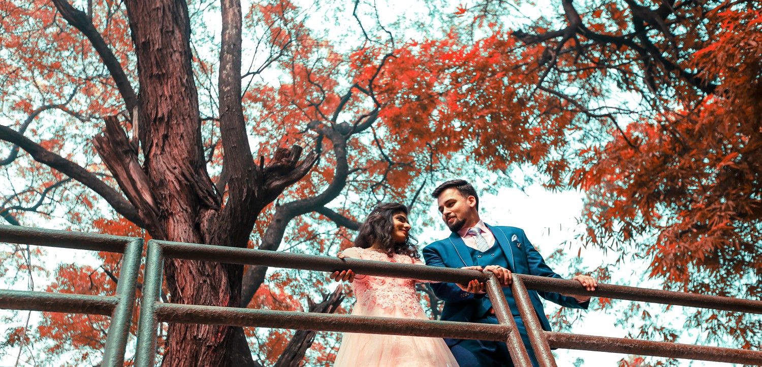 Mayank Sehrawat Films