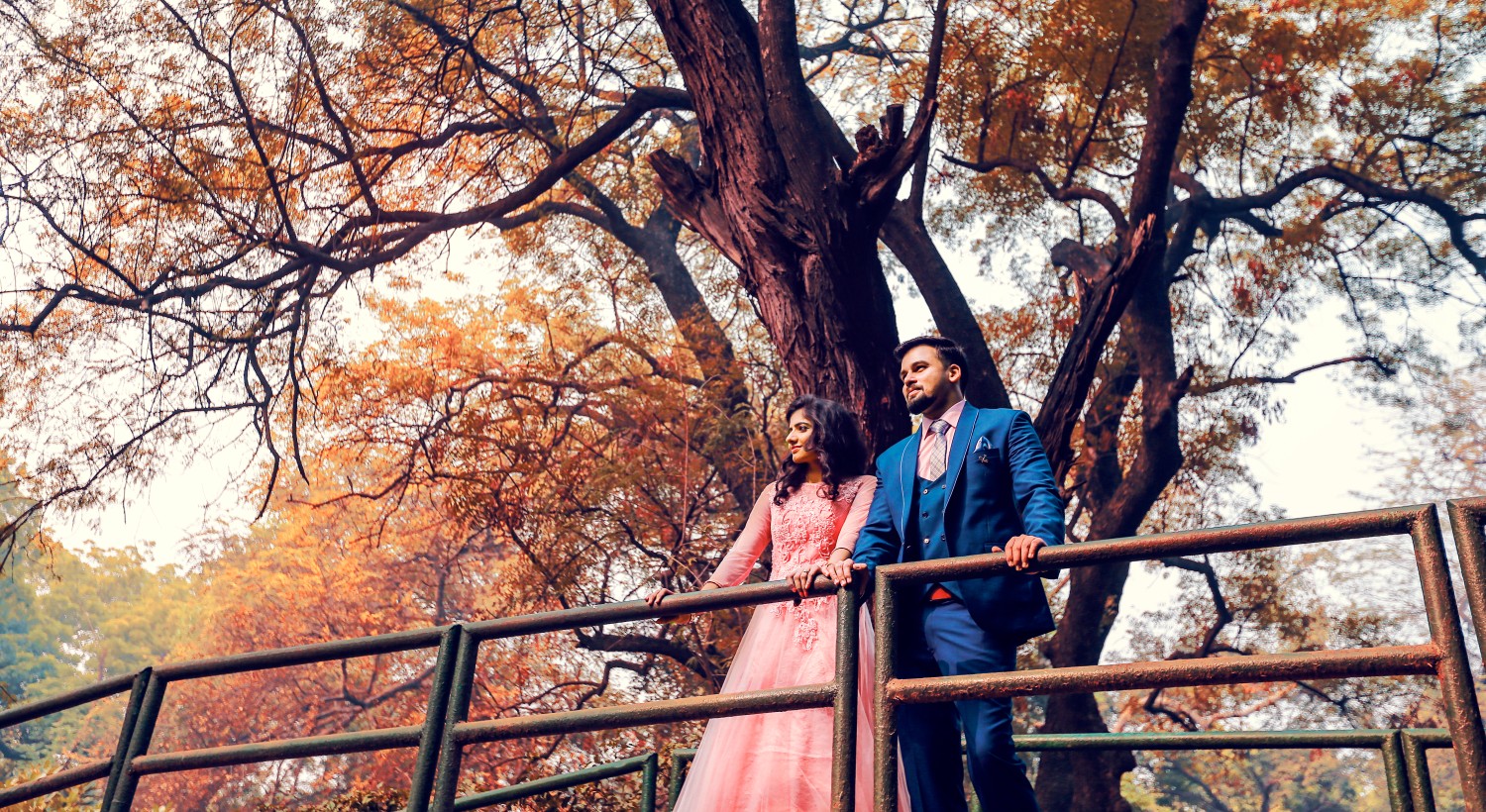 Mayank Sehrawat Films