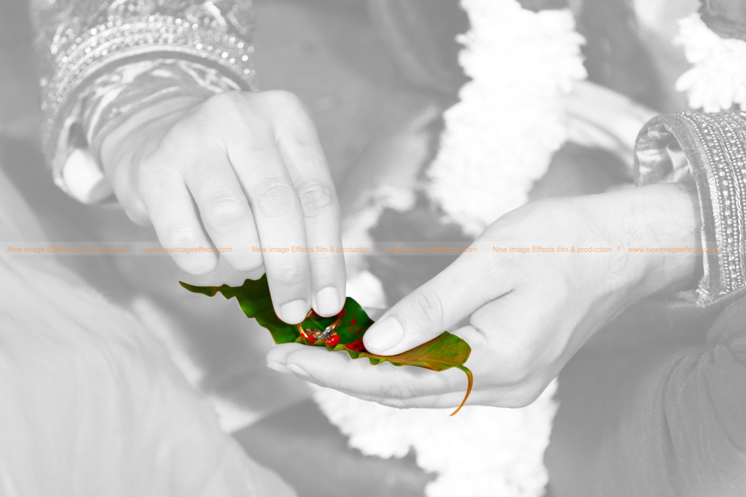 New Image Effects Film and Production