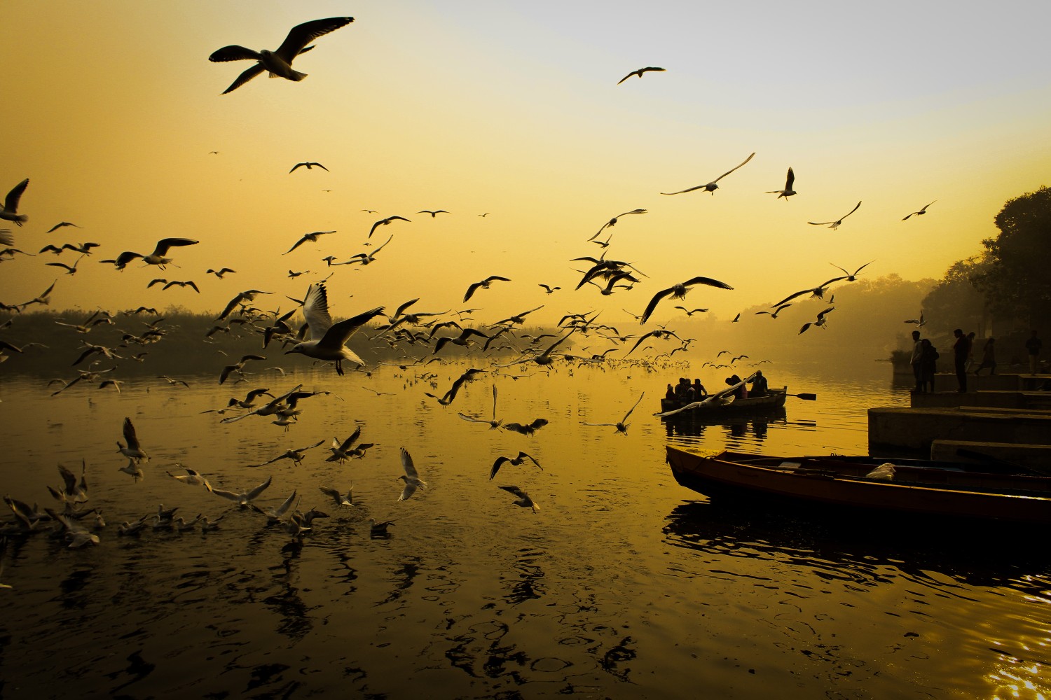 Aakash Sinha