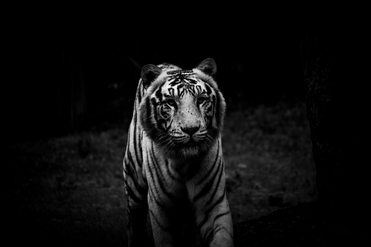 Aakash Sinha