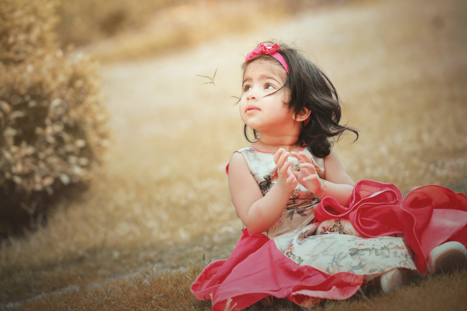 Himanshu Verma