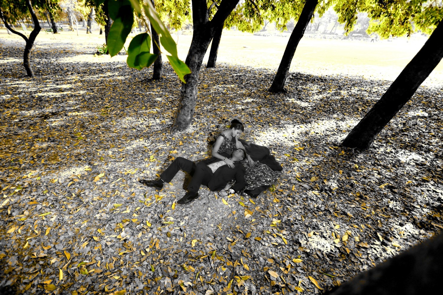 Aaryan Photographers 