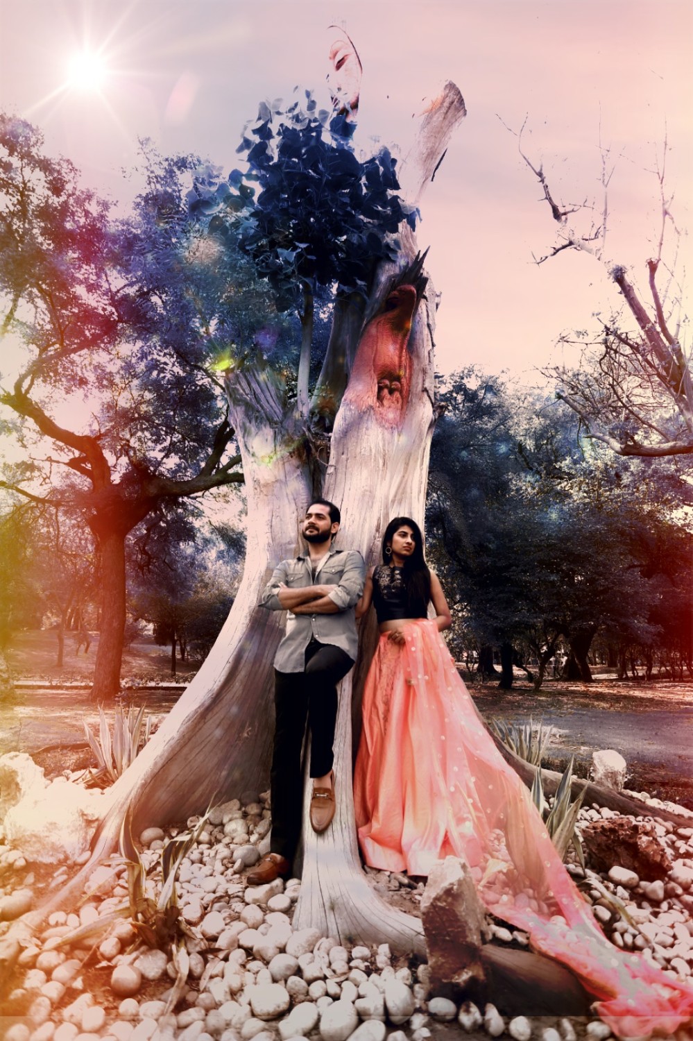 Aaryan Photographers 