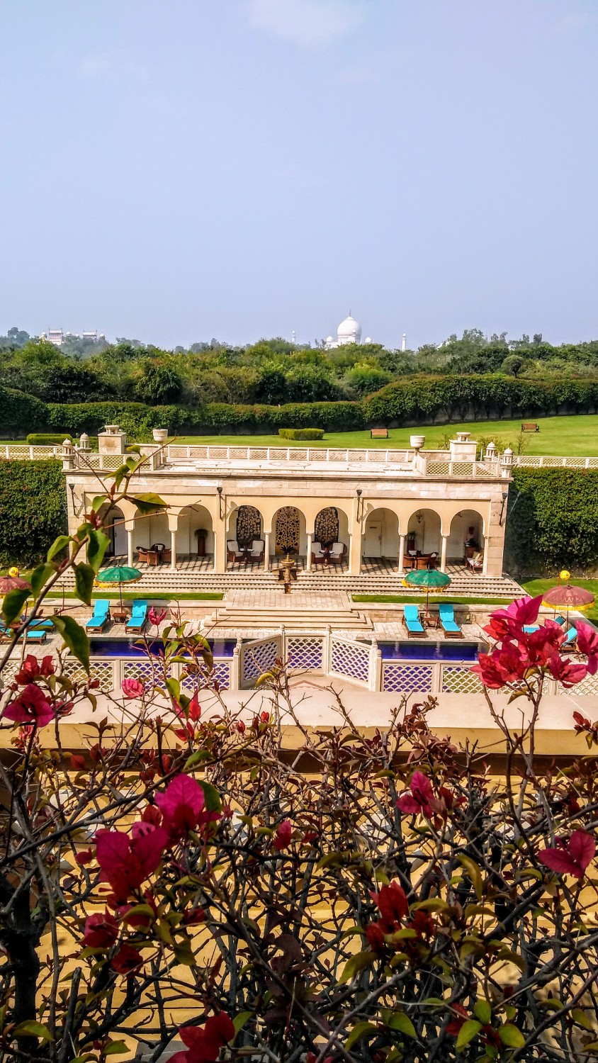 Vijay Yadav