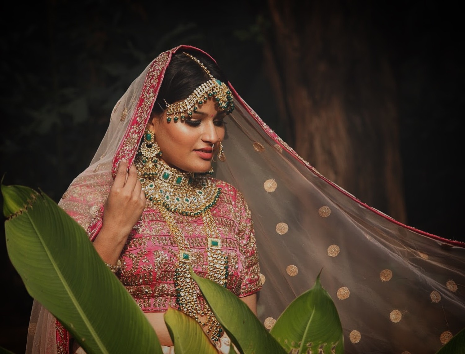 jaisal bafna