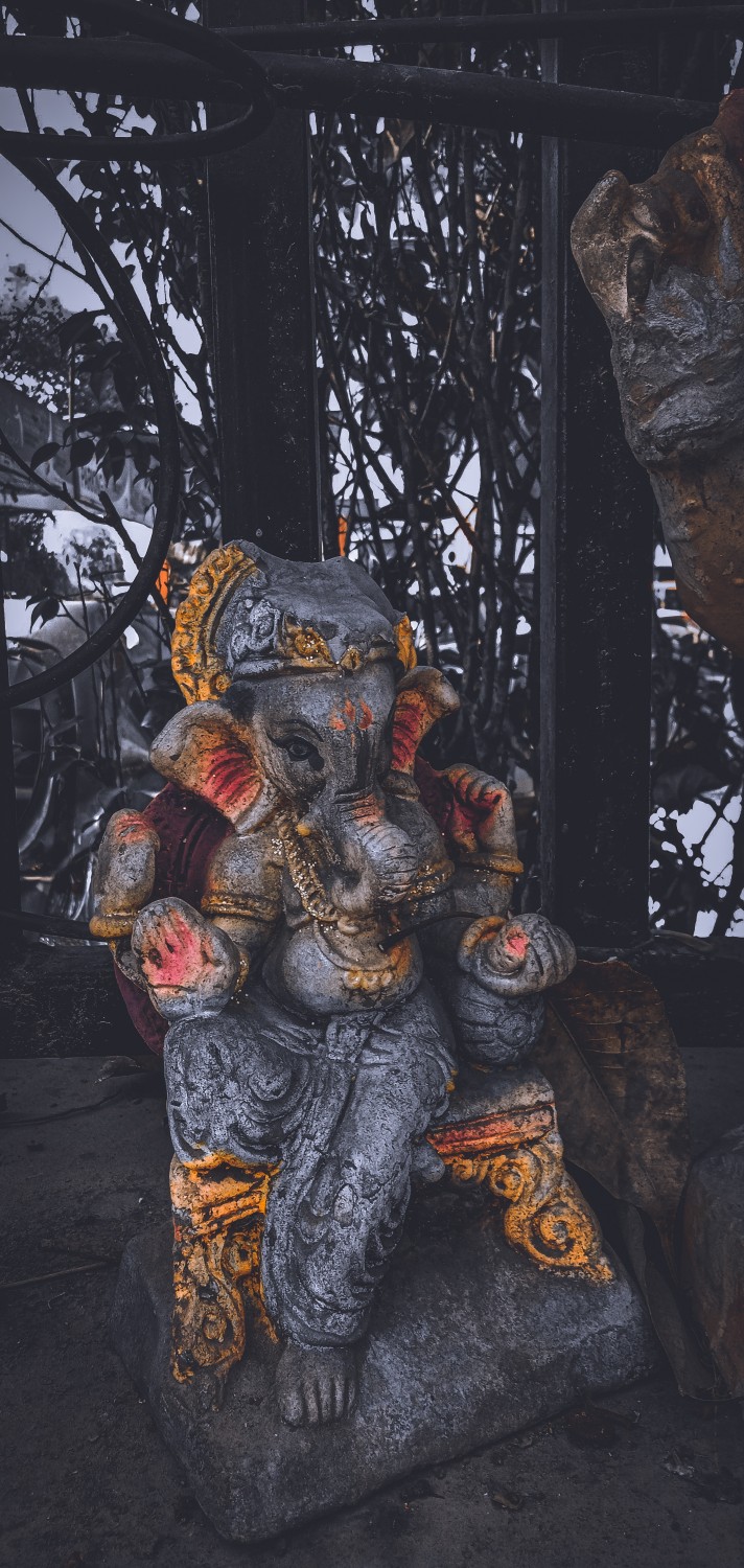 rayansh thakur