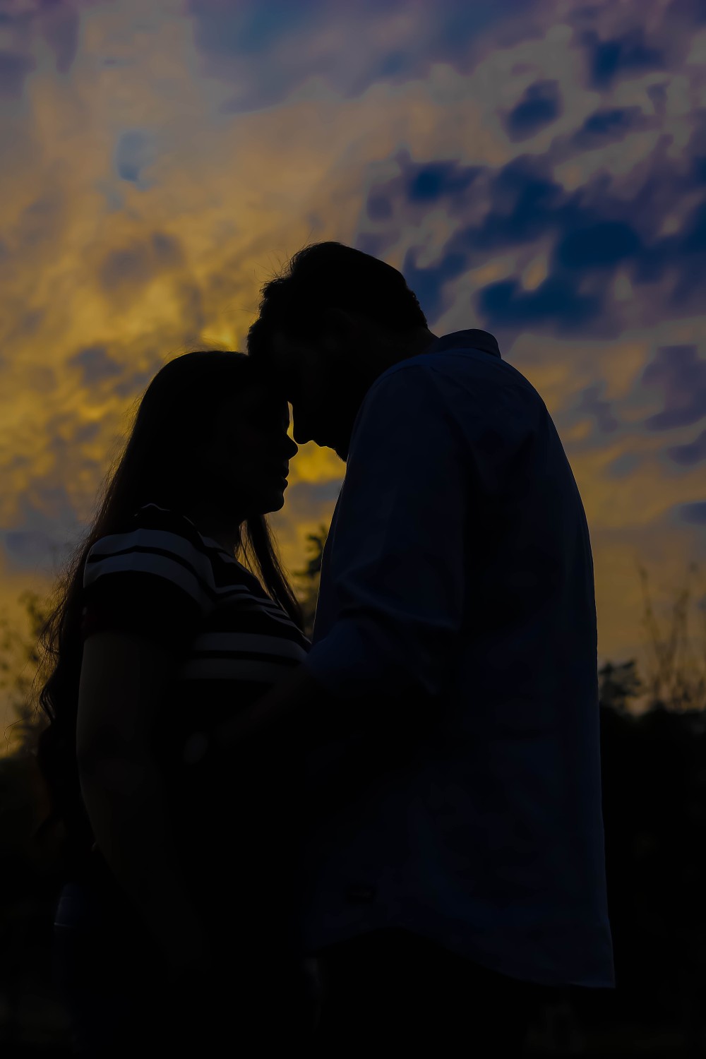 Pro-Trait Studio